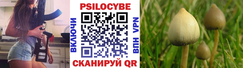 Галлюциногенные грибы Psilocybe Севастополь