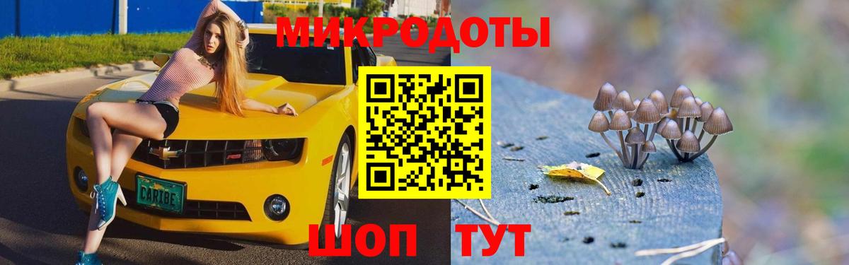 Галлюциногенные грибы Cubensis Севастополь